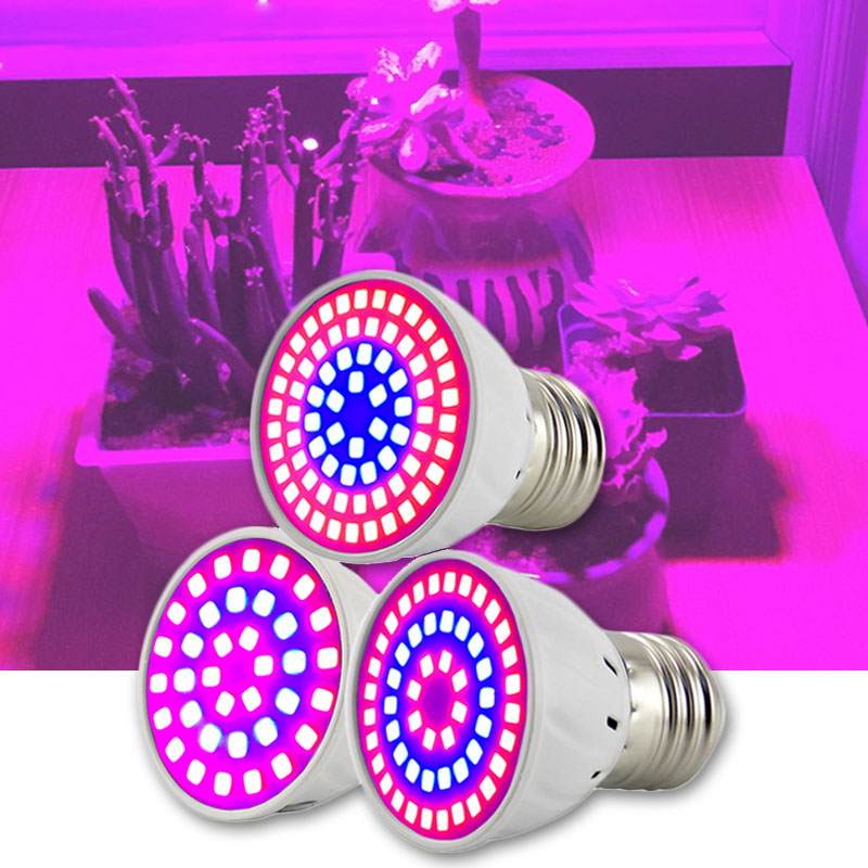 2/3 tête LED plante poussent d - Aquarium Plant Root Tabs avis et prix