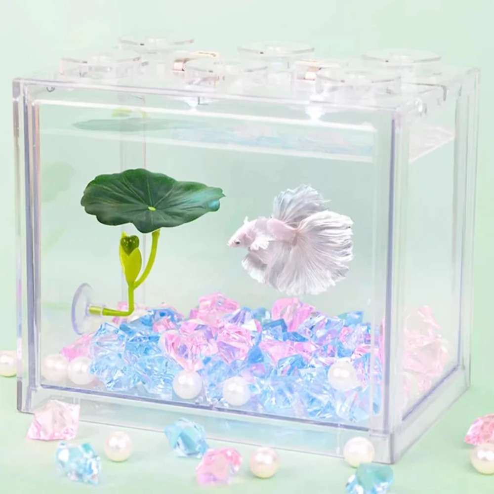 1 pièce de hamac pour poissons - Planted Aquarium Betta avis et prix