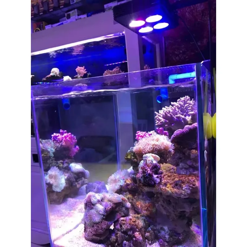 Gako A052 52w, éclairage LED p - Planted Aquarium For Sale avis et prix