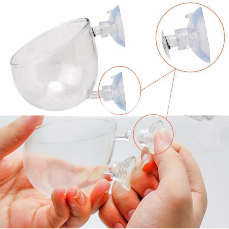 Tasse à intervalles en verre a - Aquarium Plant Seeds avis et prix
