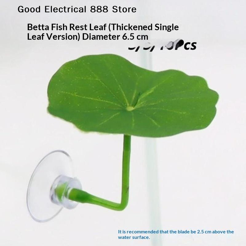 【G】 3/5/10 PCS Feuilles de rep - Planted Aquarium Betta avis et prix
