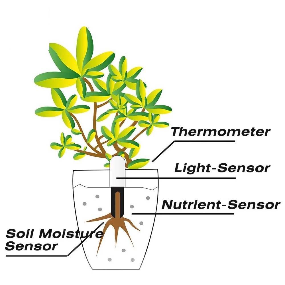 HHCC-Moniteur de Floraison pou - Tissue Culture Plant avis et prix