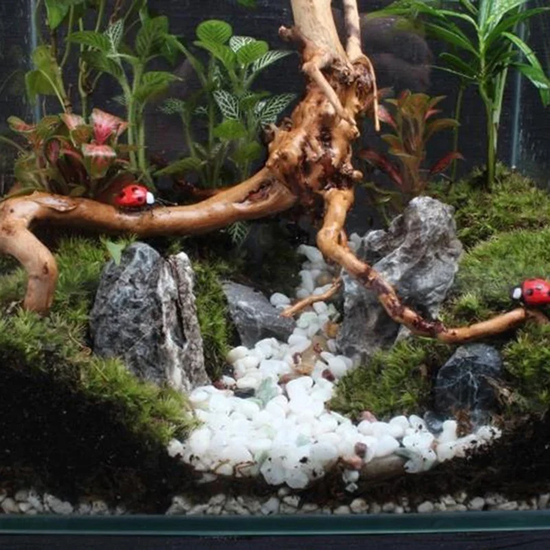 Tronc d'arbre naturel en bois  - Aquarium Plant Root Tabs avis et prix