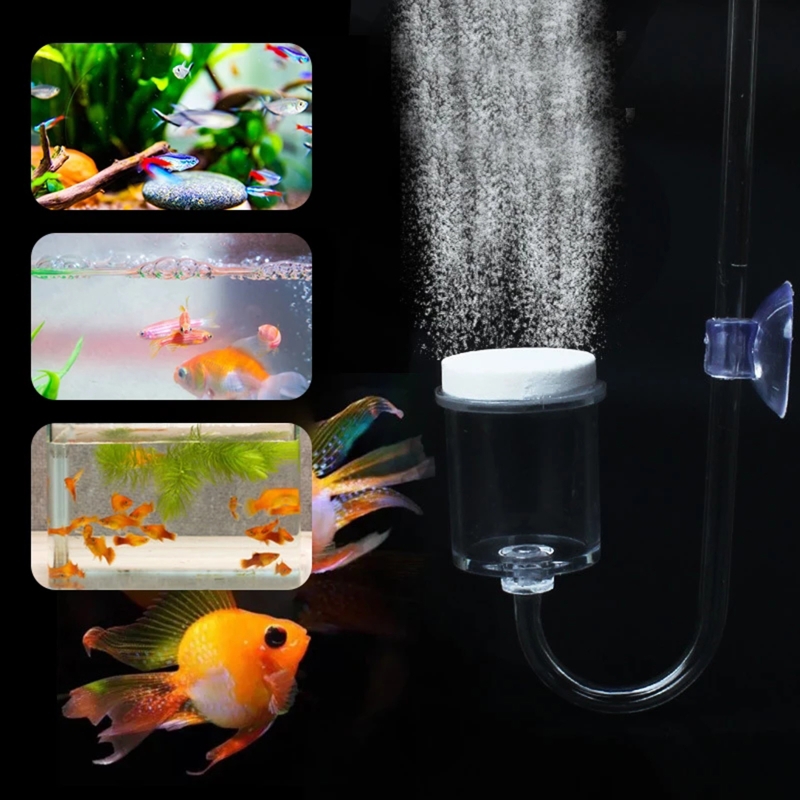 Diffuseur de CO2 pour aquarium - Aquarium Planted Tank Substrate avis et prix