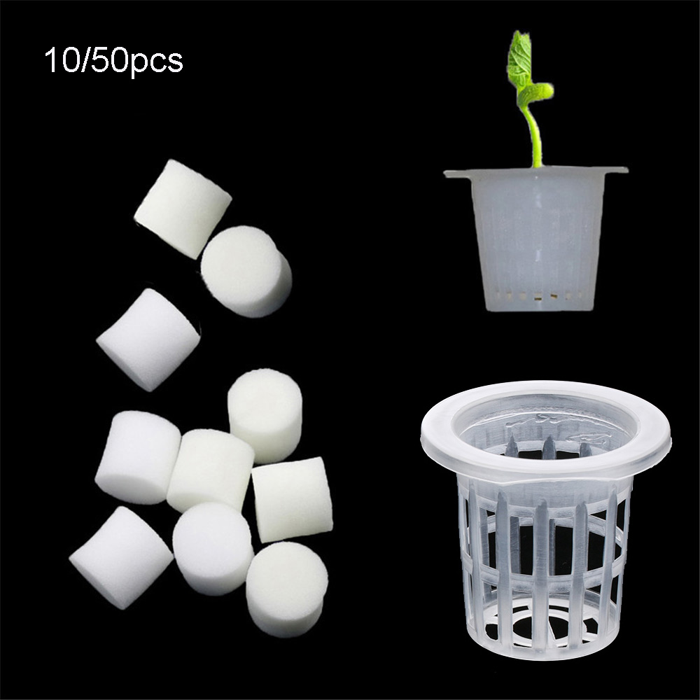 Plateaux de graines hydroponiq - Aquarium Plant Seeds avis et prix