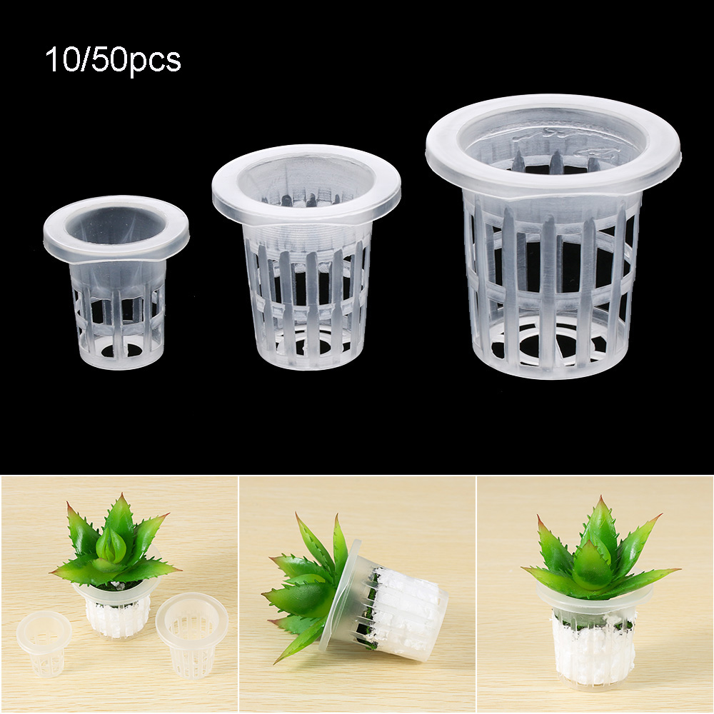 Plateaux de graines hydroponiq - Aquarium Plant Seeds avis et prix