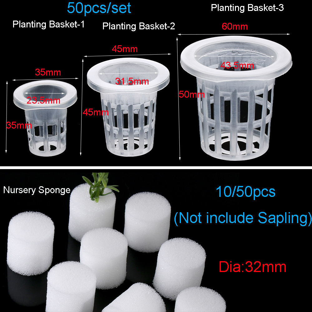 Plateaux de graines hydroponiq - Aquarium Plant Seeds avis et prix