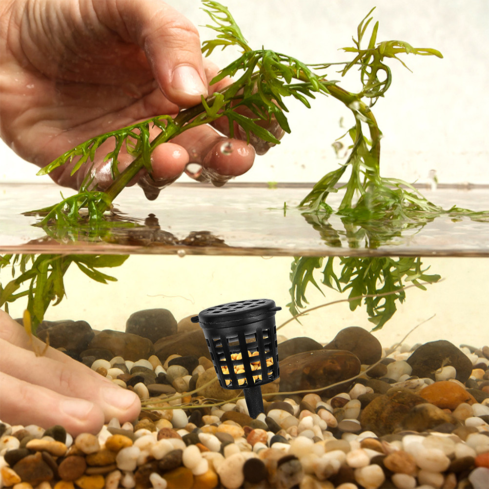 120 pièces, couvercle de panie - Planted Aquarium Fertilizer avis et prix