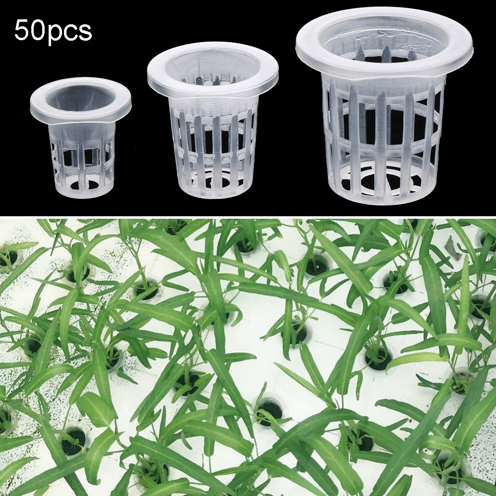 10/50pcs fournitures de jardin - Aquarium Plant Seeds avis et prix